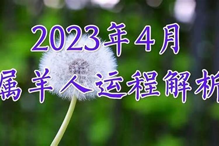 生肖猪1971年2025年运势如何 生肖猪1971年2025年全年运势
