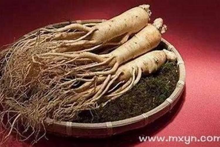 财神节的时间、形式、意义及影响