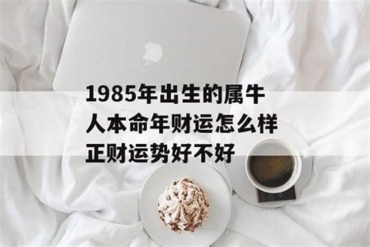 1985年属牛人的详细运势