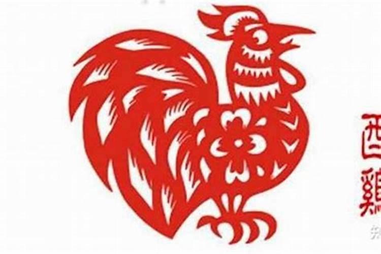 属鼠的和属鸡2023年婚姻运势好不好 感情上有什么波折？