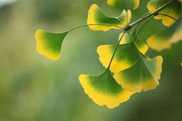 立秋节气的注意事项
