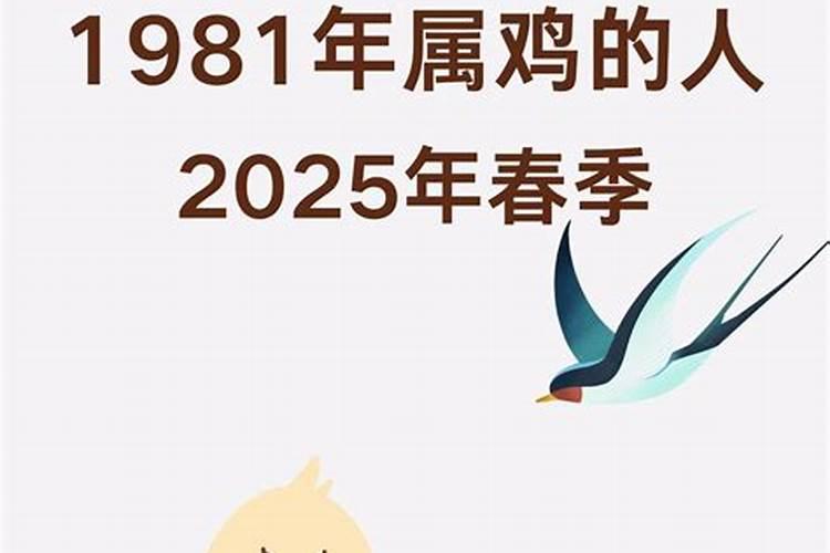 望江道士关灯分几个部分