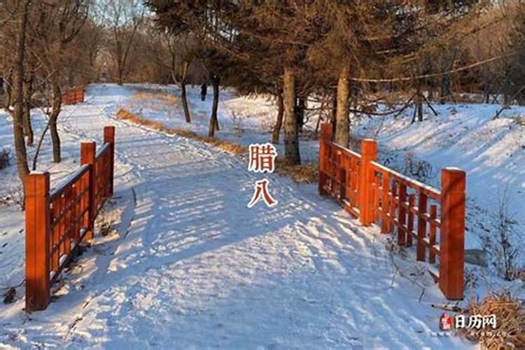 腊八在三九四九天吗