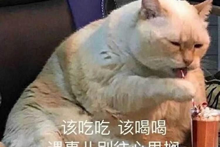 梦见自己特别特别讨厌的人的预兆