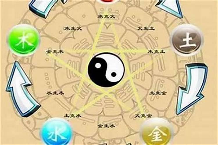 属羊的女人嫁给属鸡的怎么样属羊和属鸡合不合