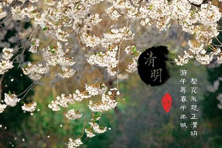 不给清明节出生的人算命