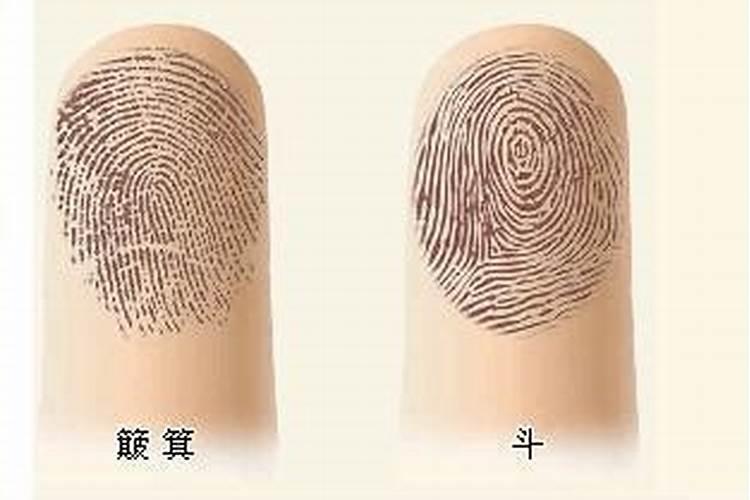 八个斗的男人命运