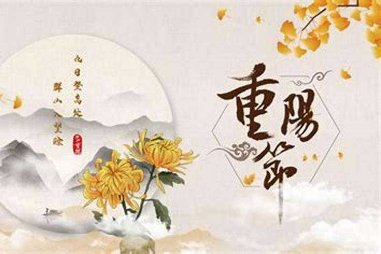上海青浦有什么好玩的地方,上海青浦有哪些好玩的景点