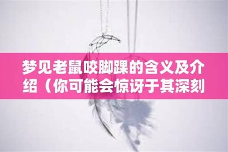 1983年属猪2025年运势及运程