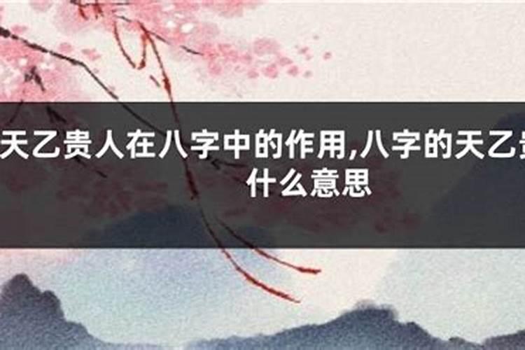贵人命是什么意思