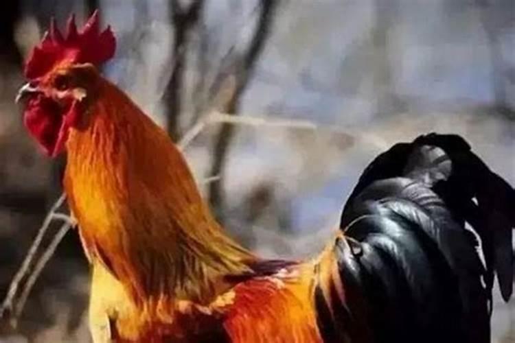 婚姻不顺的人如何化解,什么叫婚姻不顺
