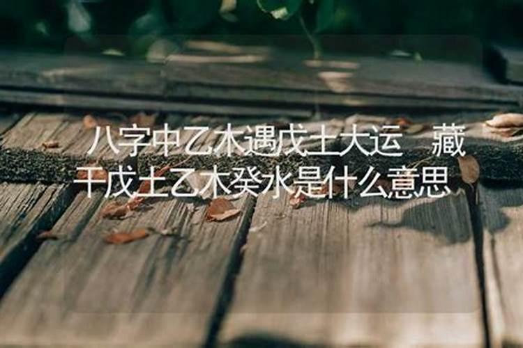 土命指的是什么意思