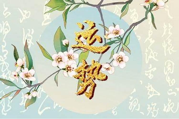 92年猴2025年每月运势