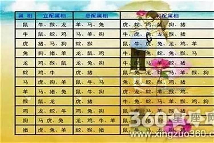 84年和95年八字合吗