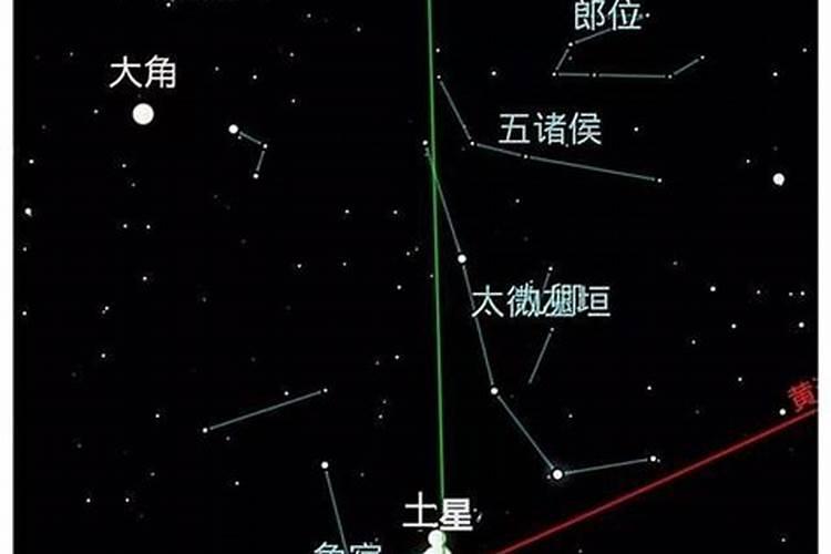 十二生肖犯月月份？