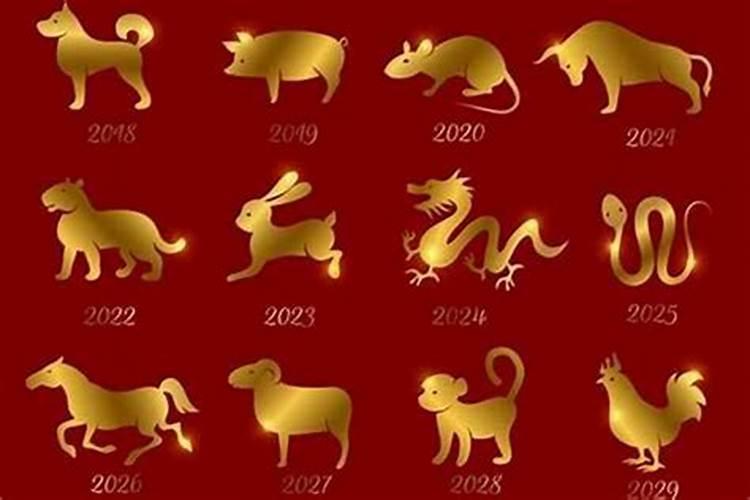 2024年12月1日的特吉生肖