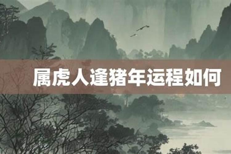 属虎的什么年份运气好