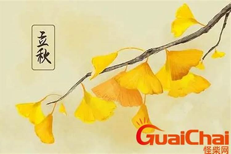 今年立秋是8月7号几点2024
