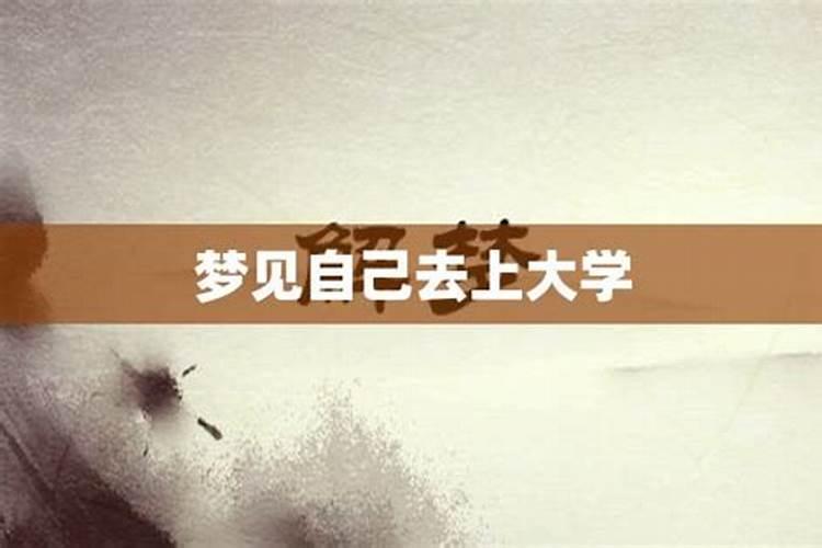 属狗的婚姻属相配对