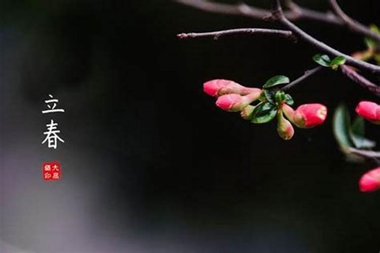 谁给我推荐一位道教大师做我师父