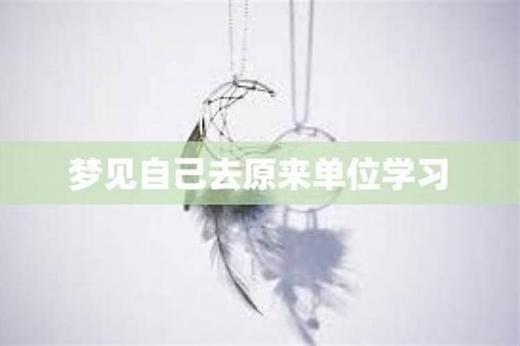 梦见原单位同事是什么意思