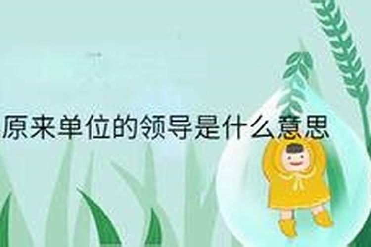 梦到原来的单位和同事有什么预兆