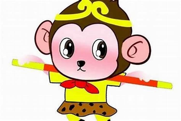 本命年的人财运如何