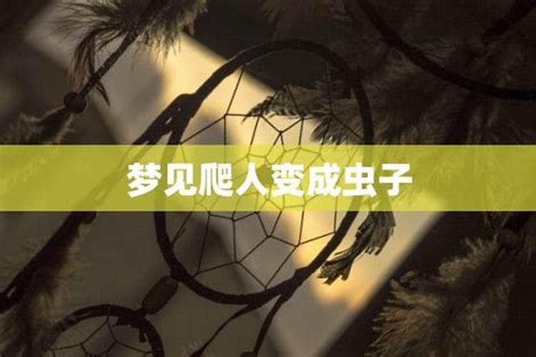 属龙的女人最佳配偶属相是什么龙属相和什么属相最配最合适呢