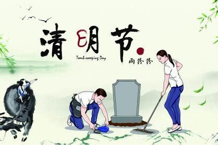农历12月出生属蛇人命好吗