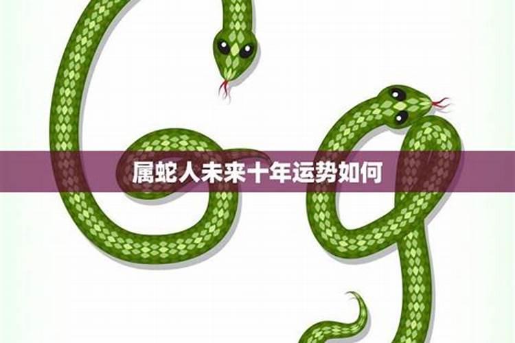77年蛇45岁后十年大运运程
