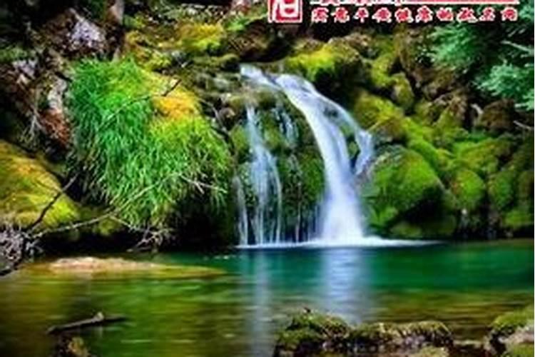 女虎男羊是结婚的大忌