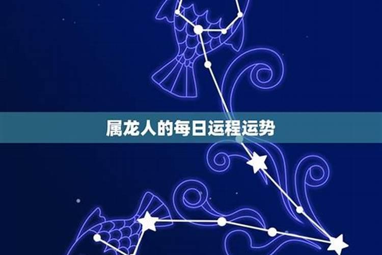 生肖龙一生的感情运势