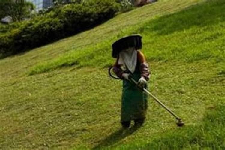 刍荛之见什么意思