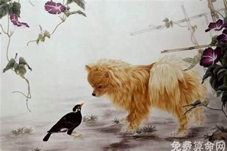 男狗94年和女虎98年婚配吗,女属虎和男属狗,是否相配？