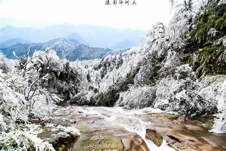 中医养生:24节气之冬至