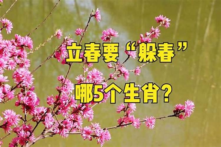 立春怎么躲太岁