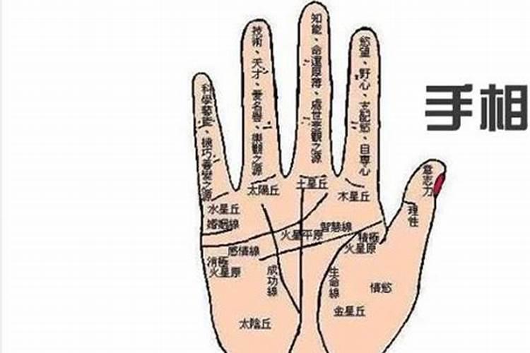 黄财神为什么要用水供