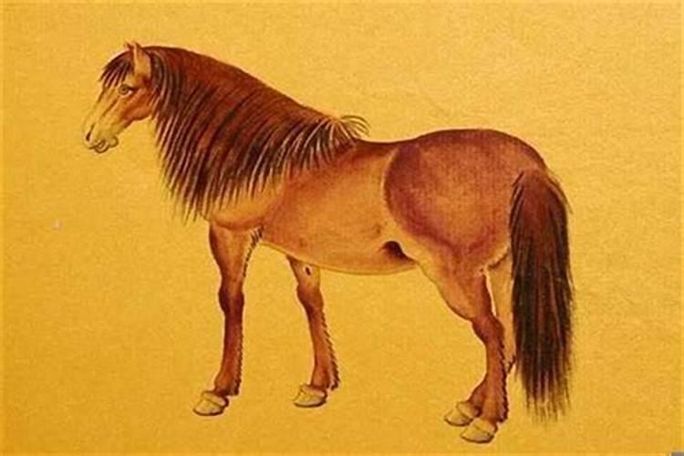 两个人恋爱五年说明什么？