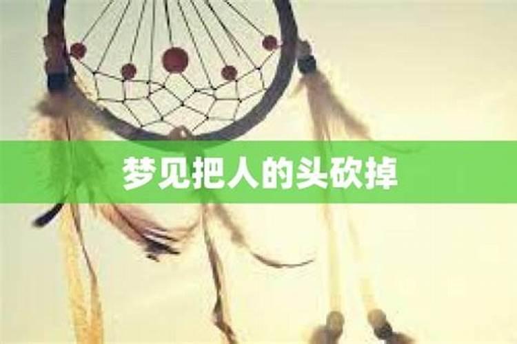 属马的今年运气