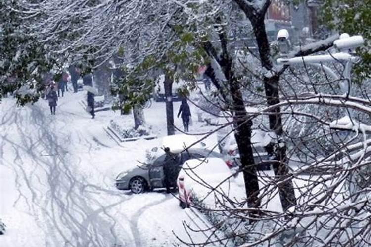 梦见到处都是雪是什么意思 梦见到处都是雪的寓意