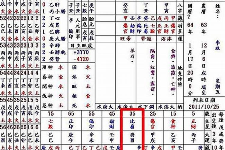 2025年属猪的全年运势