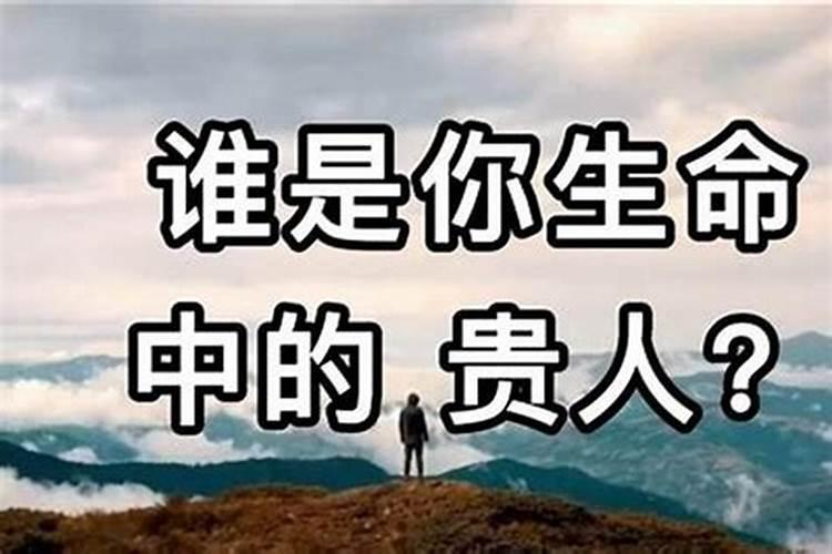 八字中的财库指的是什么？