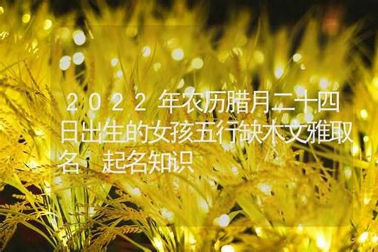 2月1日腊月二十出生的鼠女未来命运如何