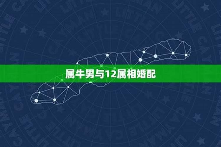 属龙女,和属牛男会相克吗