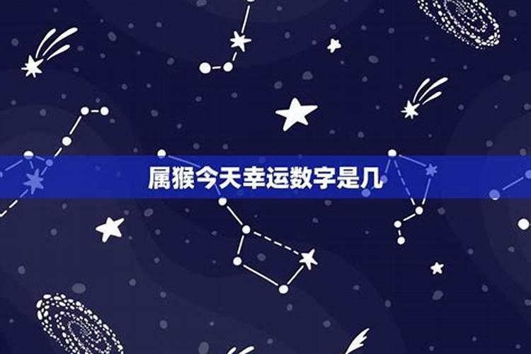 今天的七个幸运数字是什么？
