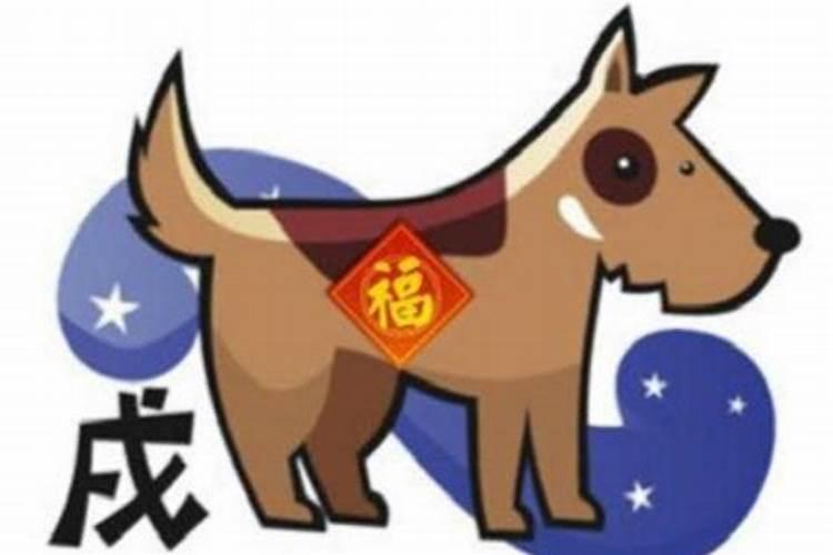 属鼠的和属狗的婚姻合不合