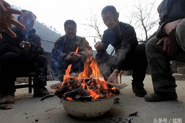 狗狗生了5只是什么意思