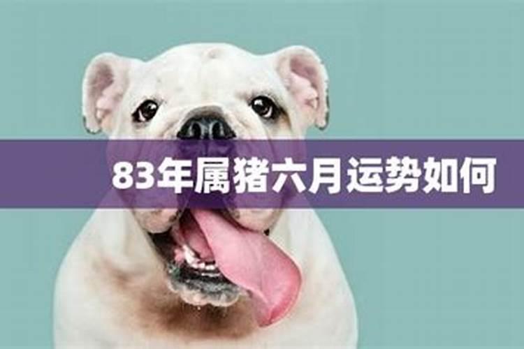 梦见回到以前的学校和同学会面的预兆