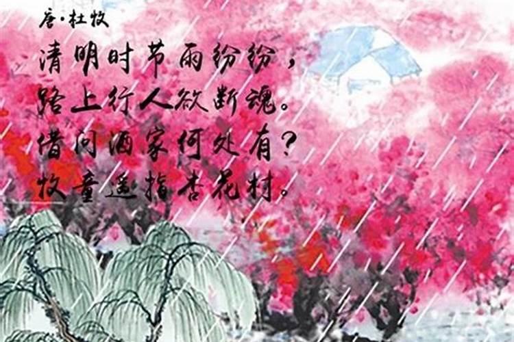 清明节的绝美佳句短句