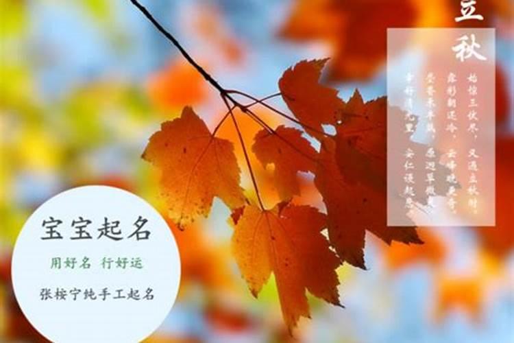 诗意的王氏男孩名字
